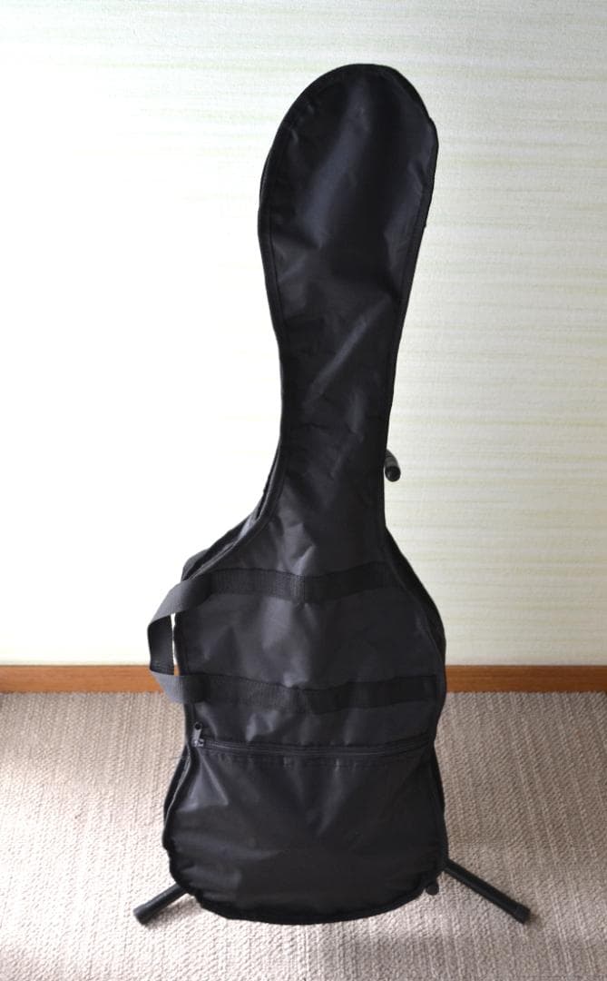 SELDER セルダー ストラトキャスタータイプ ST-16M/SB