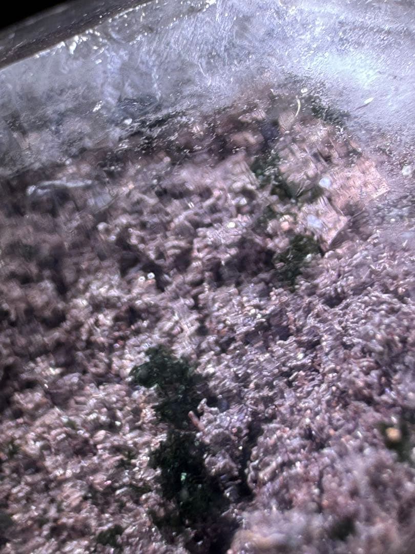 レア　パープルガーデン　レムリアンシード　ガーデンクォーツ　ロドライト