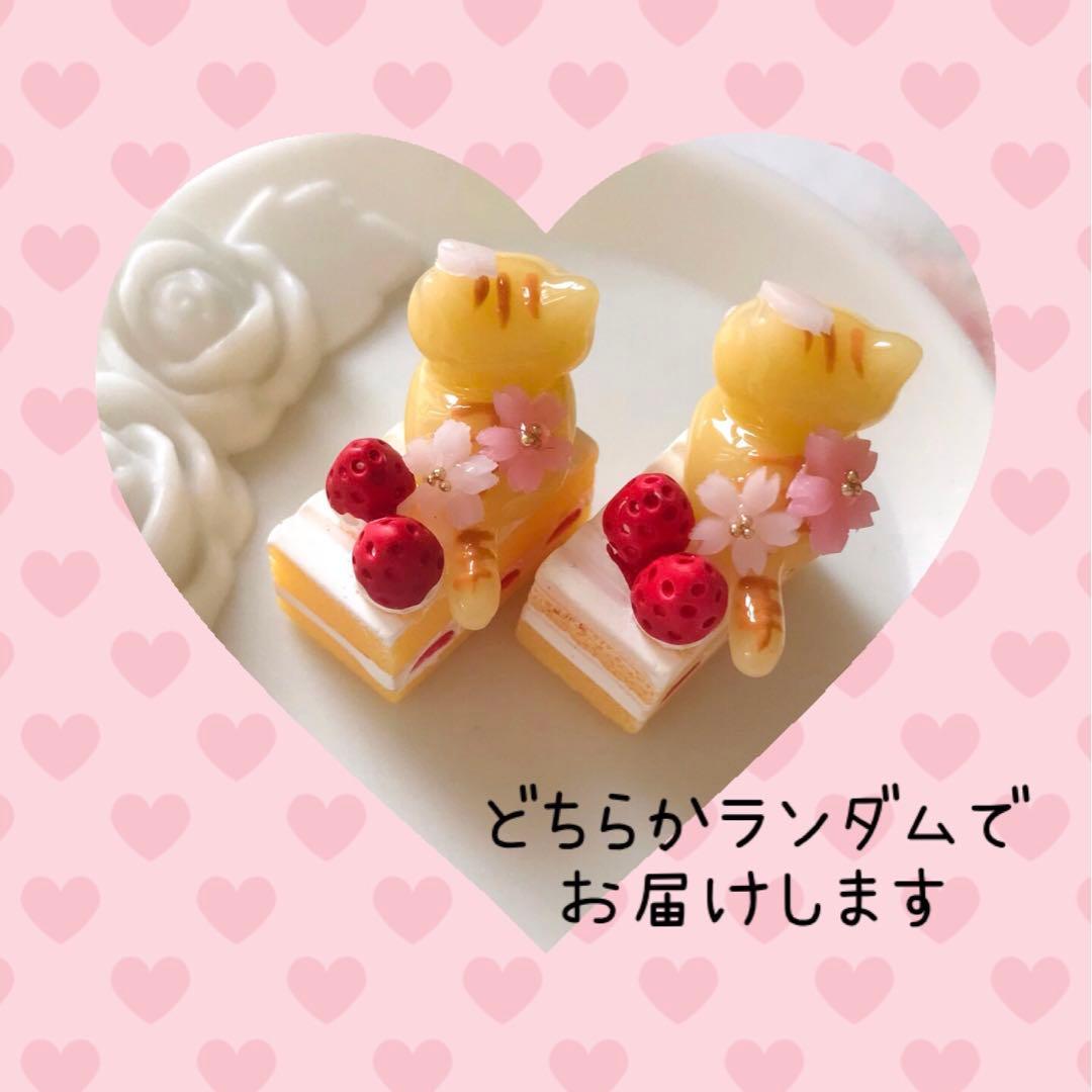 ショートケーキとおすわりねこちゃん　とらねこ×桜