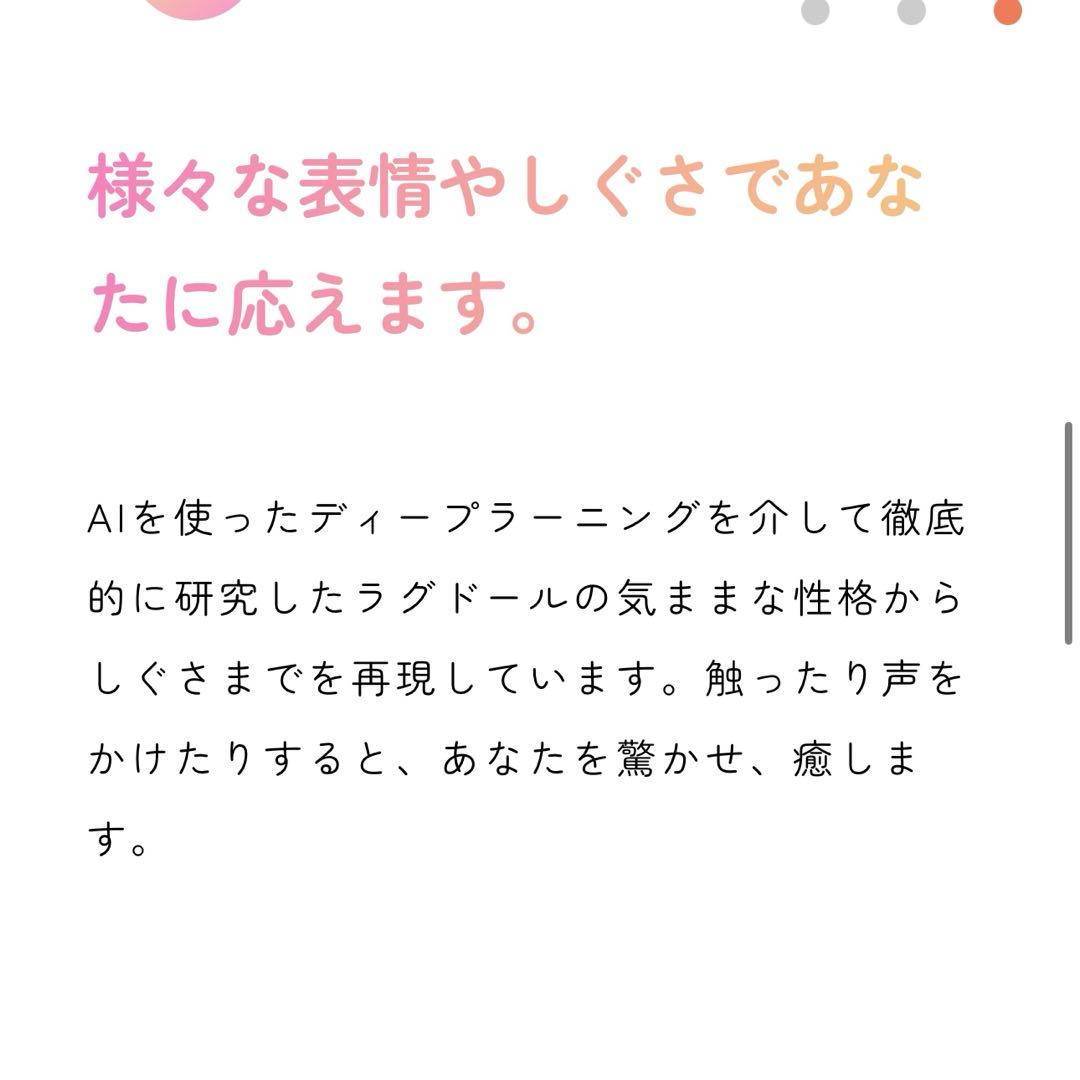 KIMIT ラグドール ブラウン