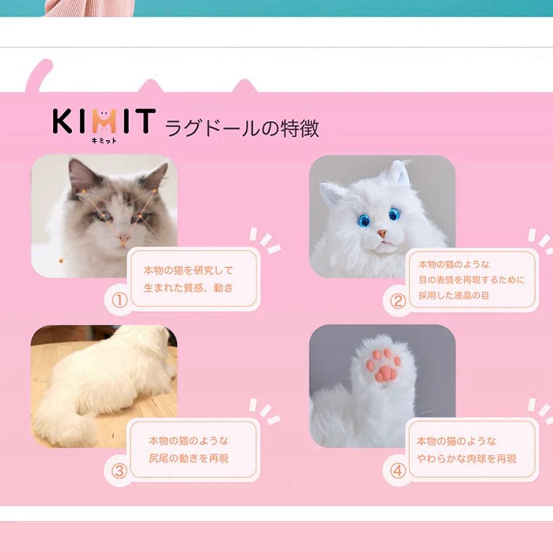 KIMIT ラグドール ブラウン