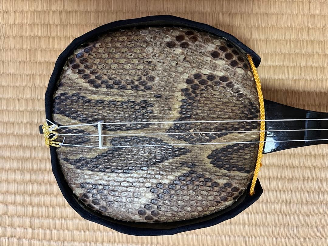 三線本体 ヘビ皮 強化張？