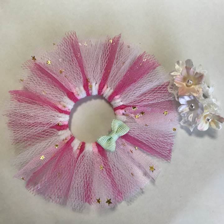 【101】ステラルー♡コスチューム♡ぬいば♡チュチュ