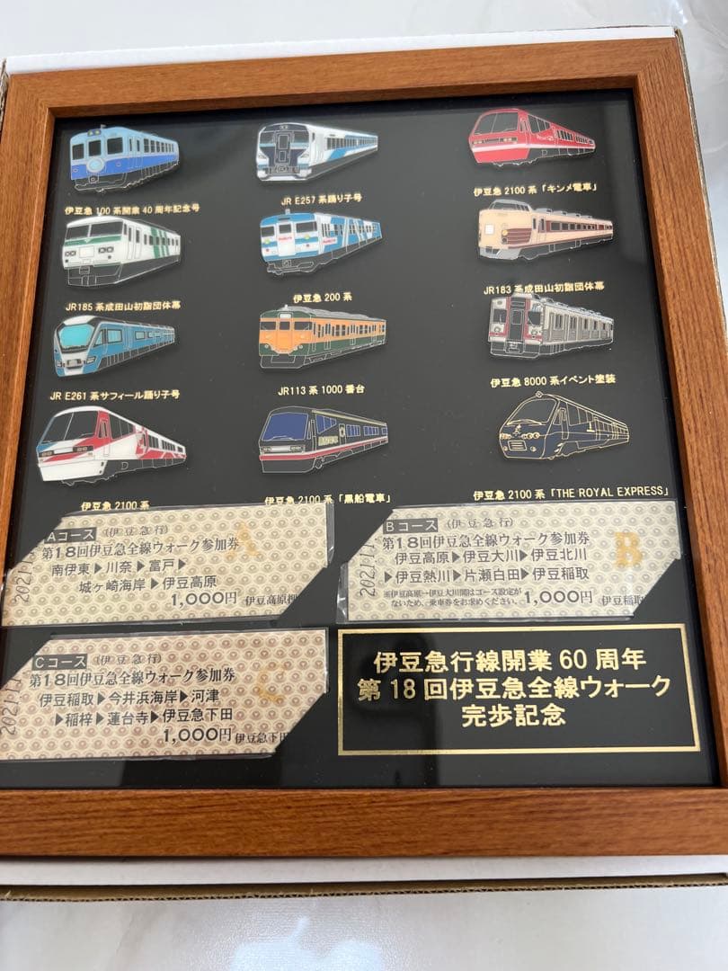 伊豆急全線ウォーク 完歩記念 ピンバッチ
