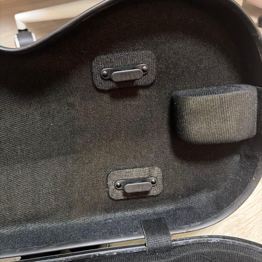 ミントグリーン バイオリンケース　eastman