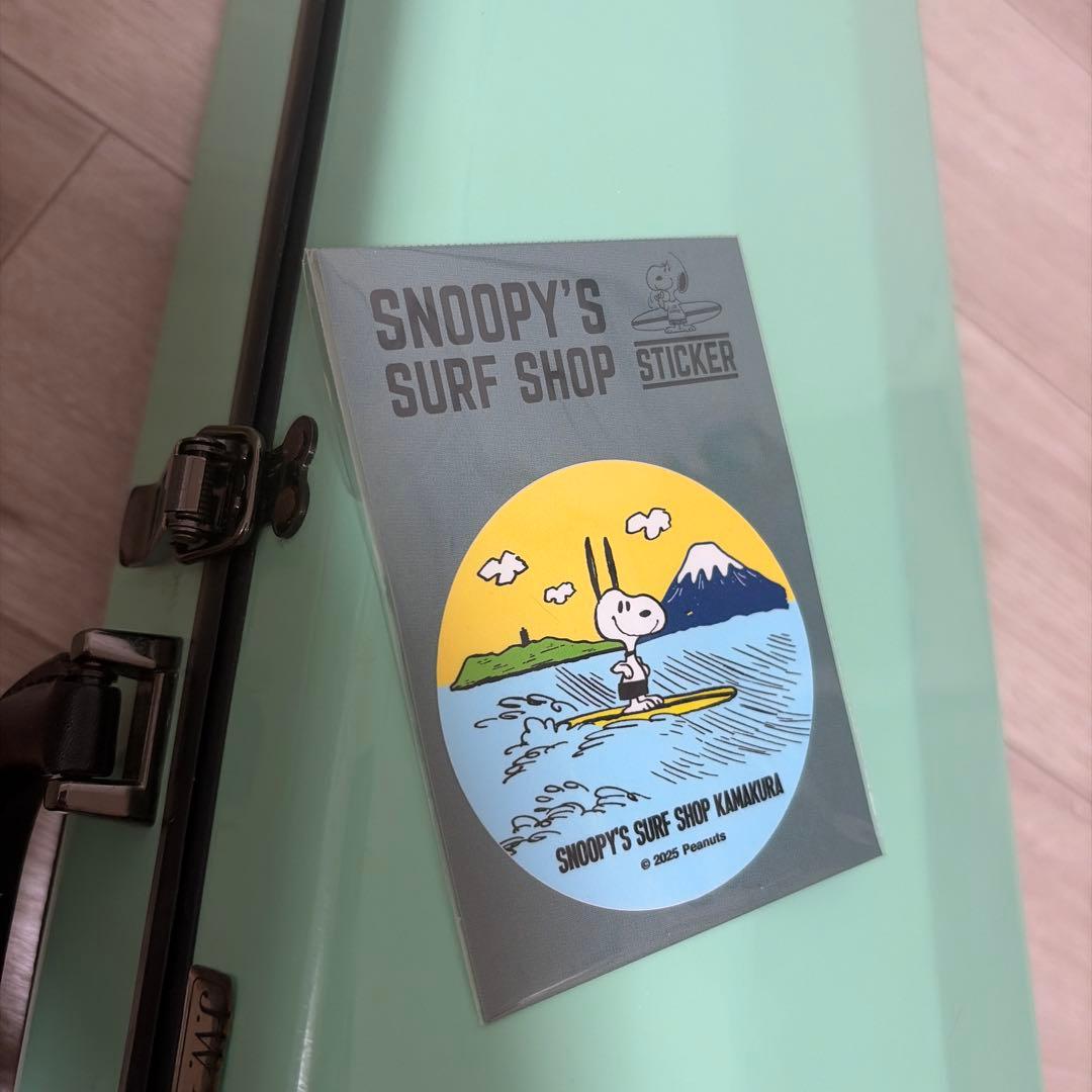 ミントグリーン バイオリンケース　eastman