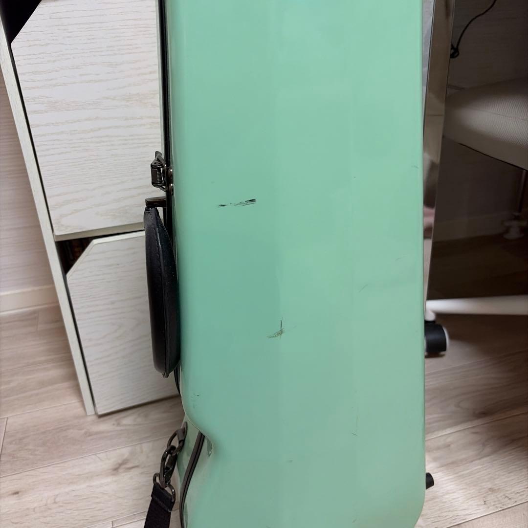 ミントグリーン バイオリンケース　eastman