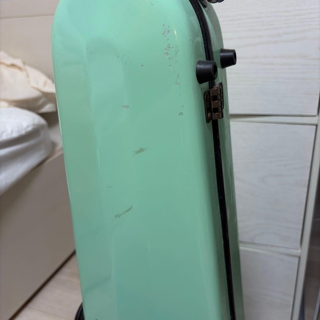 ミントグリーン バイオリンケース　eastman