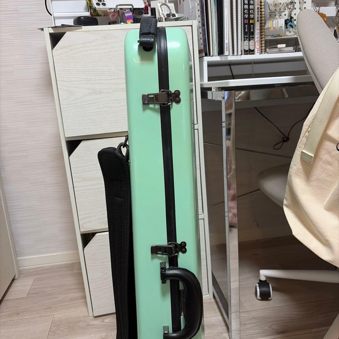 ミントグリーン バイオリンケース　eastman