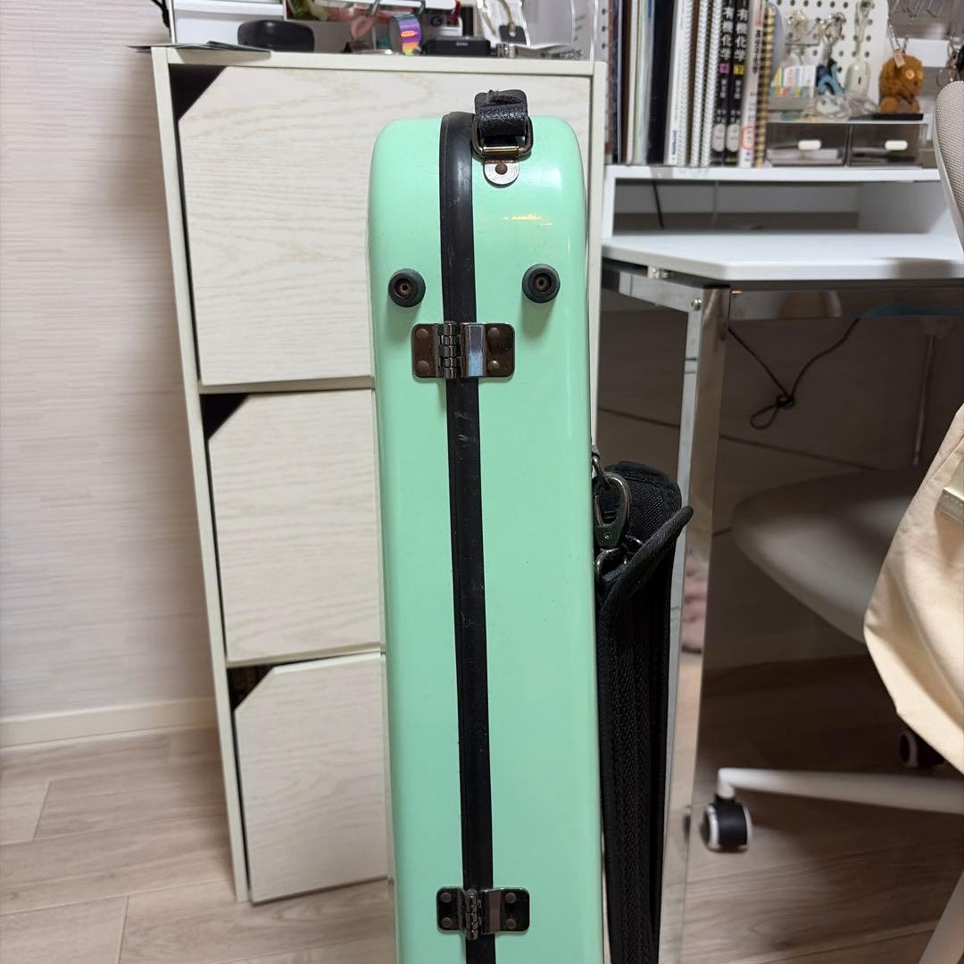 ミントグリーン バイオリンケース　eastman