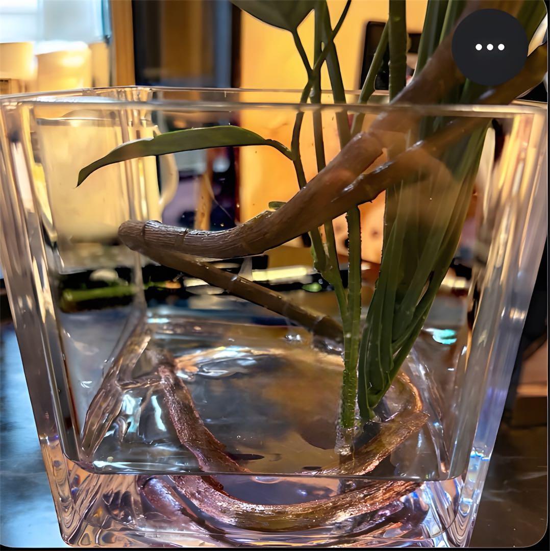 光触媒　観葉植物　フェイクグリーン　マジカルウォーター　マグノリア7644