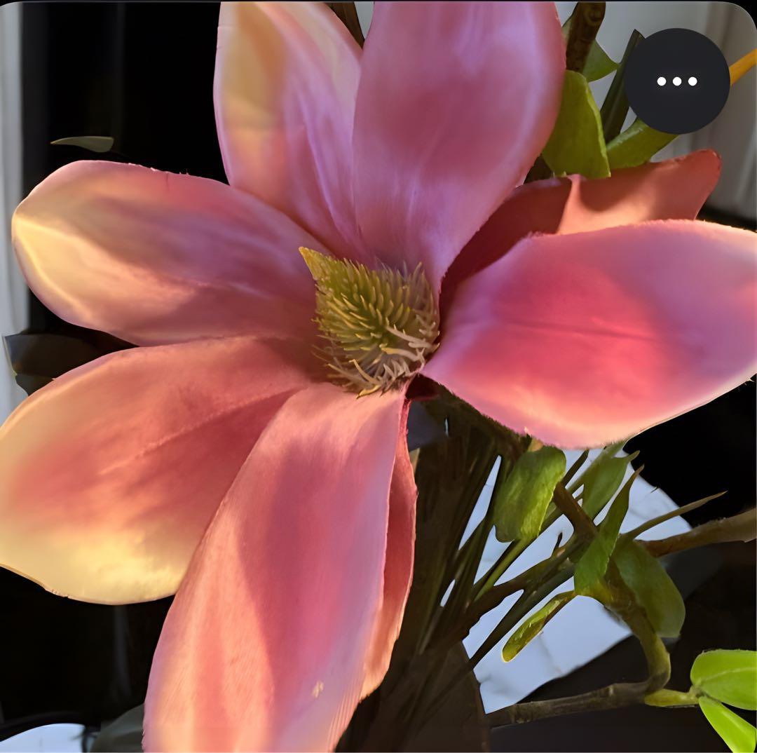 光触媒　観葉植物　フェイクグリーン　マジカルウォーター　マグノリア7644