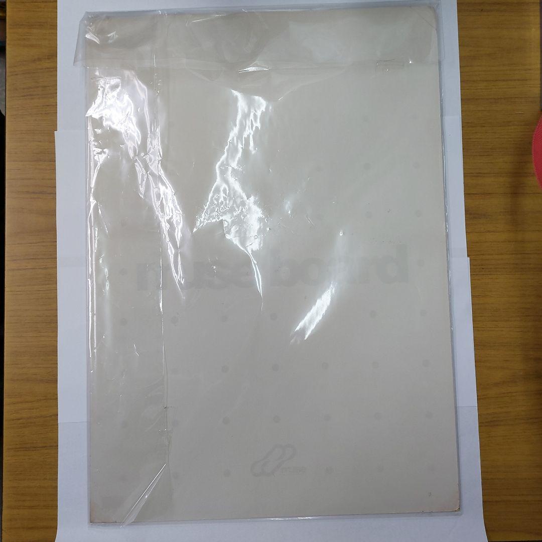 高倉健　肖像画　網走番外地