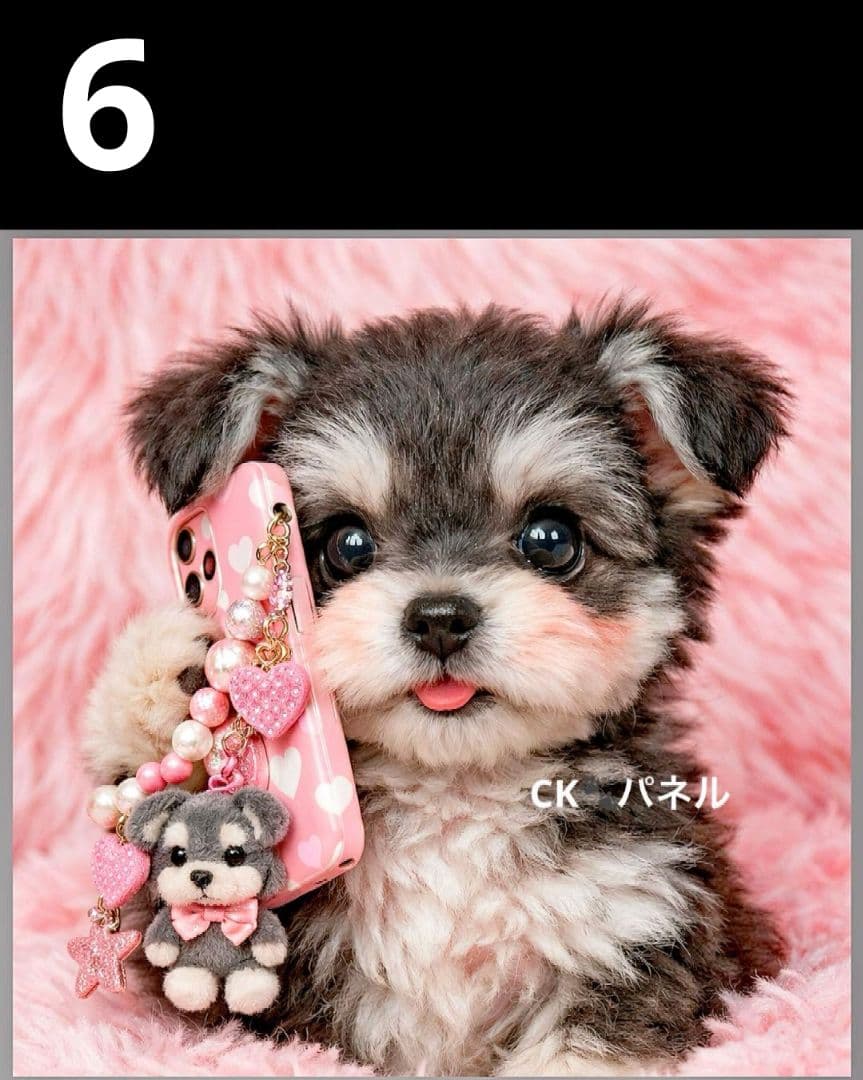 オーダーページ　ハンカチ96 スマホわんこ柄　ハンドメイド3/20