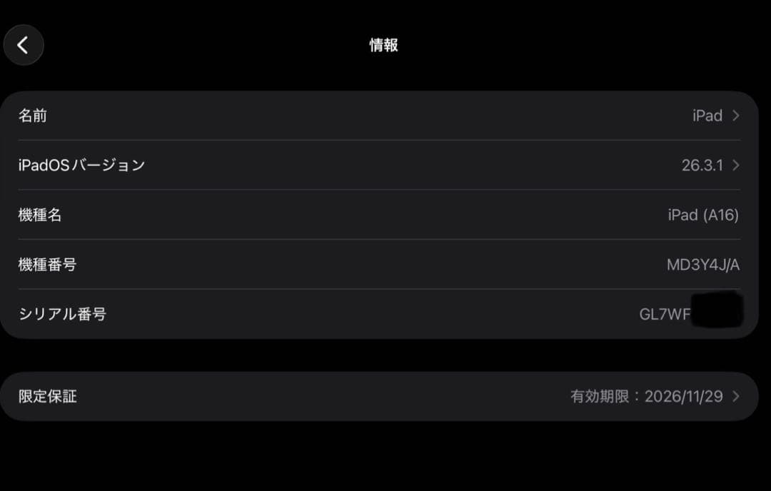 極美品 iPad 第11世代 128GB Wi-Fi 保証有 豪華5点付