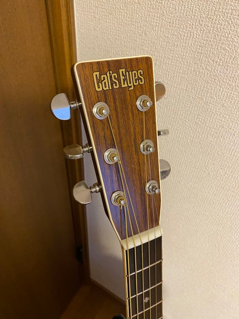 Cat's Eyes CE300アコースティックギター