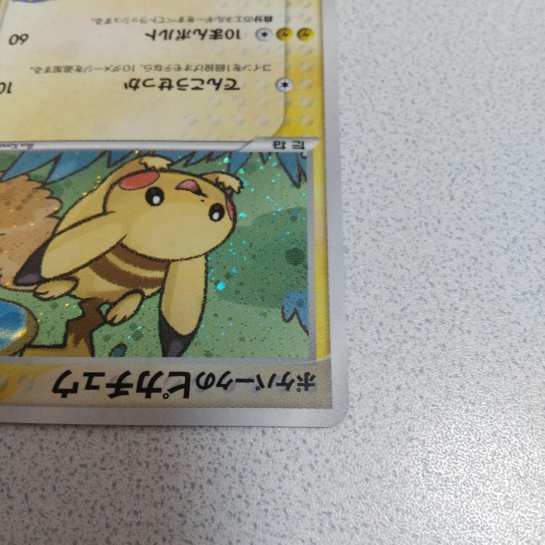 ポケパークのピカチュウ