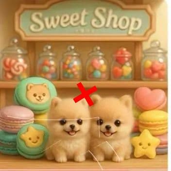 ポメラニアンSweetShopパネル生地　ハンドメイド