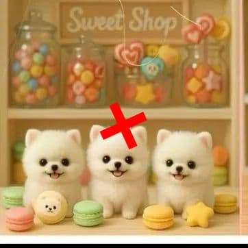 ポメラニアンSweetShopパネル生地　ハンドメイド