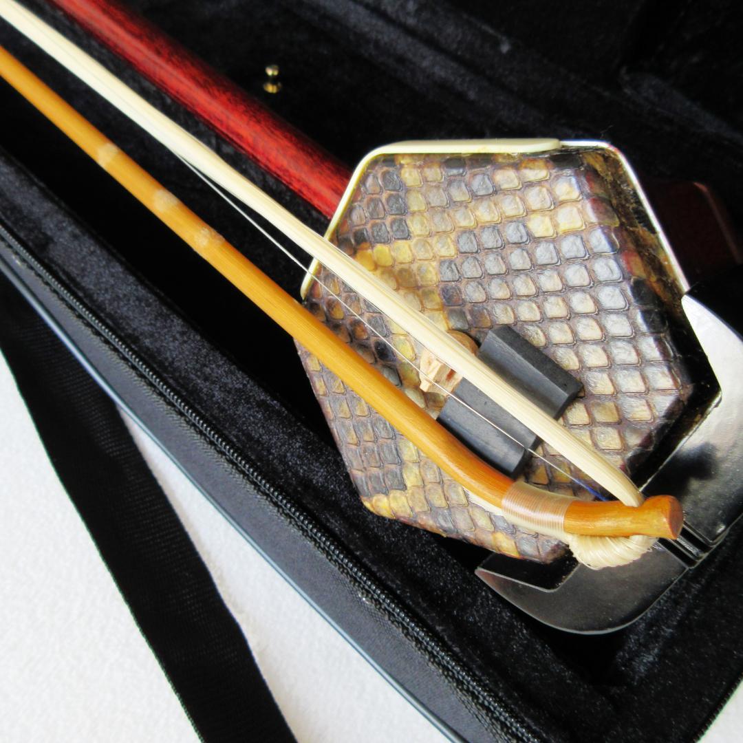 二胡　弦楽器　中国楽器　民族楽器　弓　入門セット　ケース付き　軽量　フルセット