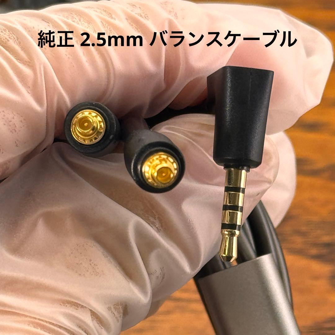 SENNHEISER IE 900 高音質 ハイエンド 有線イヤホン 純正品