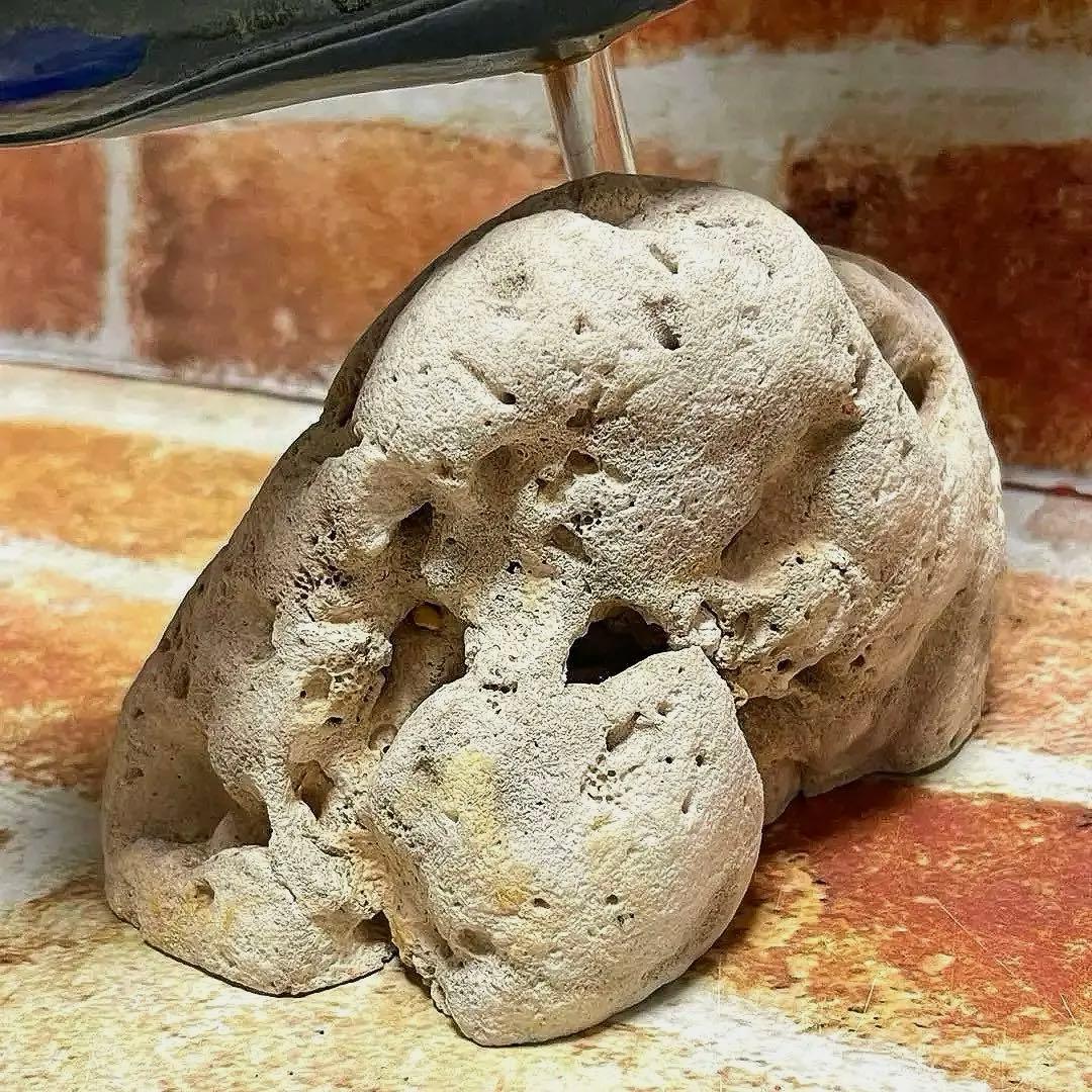 ハワイマウイ島クジラ置物