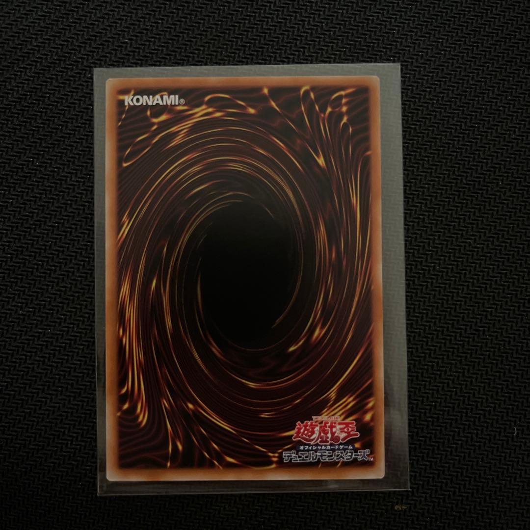 シューティング・クェーサー・ドラゴン、ドラゴン・導きの呼笛 ＋おまけ