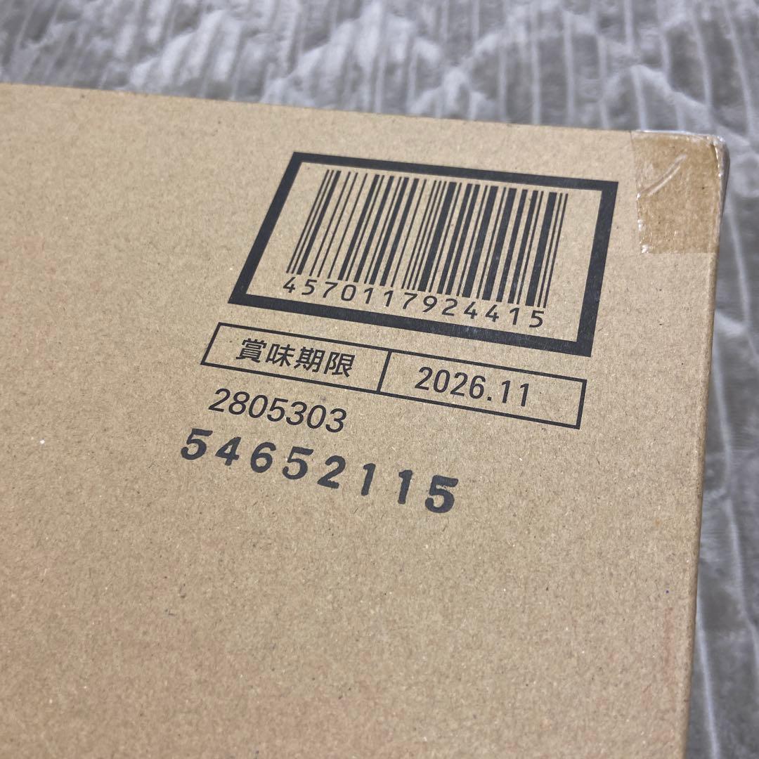 ミニプラ PB限定　爆上戦隊ブンブンジャー 9大ロボ バクアゲクリアラメver.