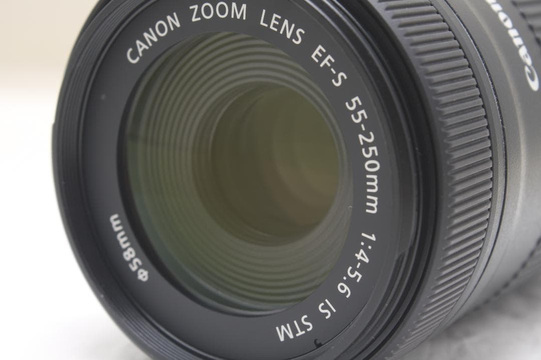キヤノン EF-S 55-250mm F4-5.6 IS STM 0837