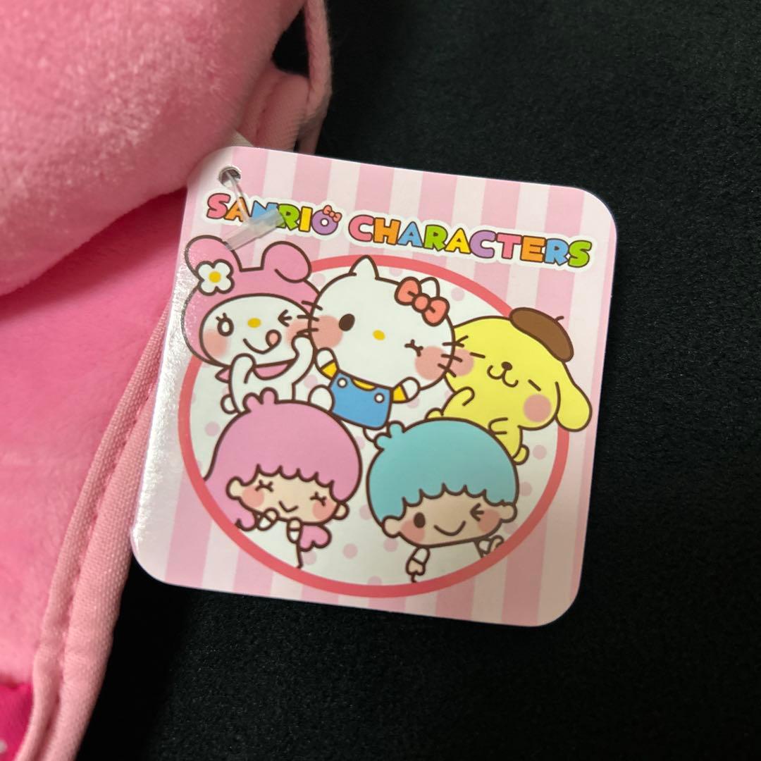 ゆるかわサンリオキャラクターズマイメロディウォールポケット 壁掛け収納 激レア