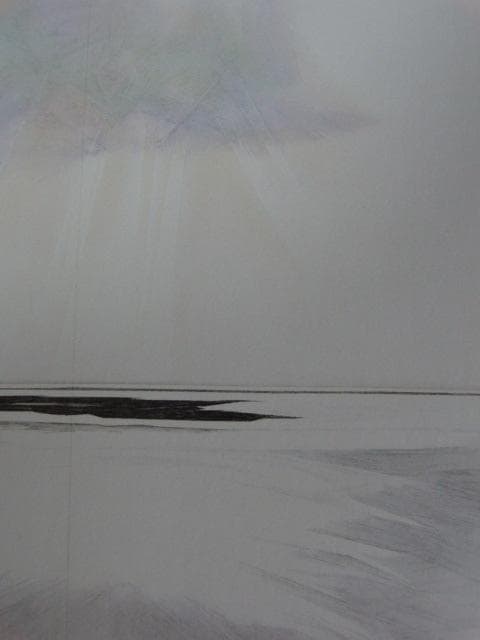 津田一江、【プラネットアース】、希少な額装用画集より、状態良好