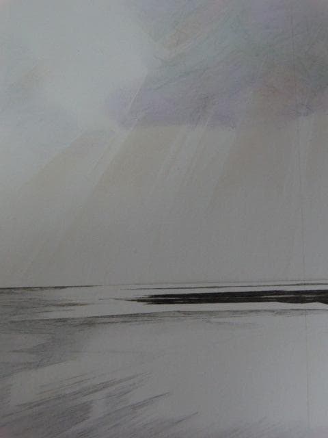 津田一江、【プラネットアース】、希少な額装用画集より、状態良好