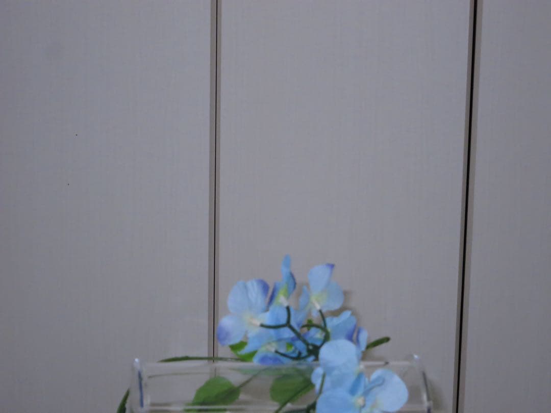 美品　Canon PowerShot S200 PC2033 充電器　動作品