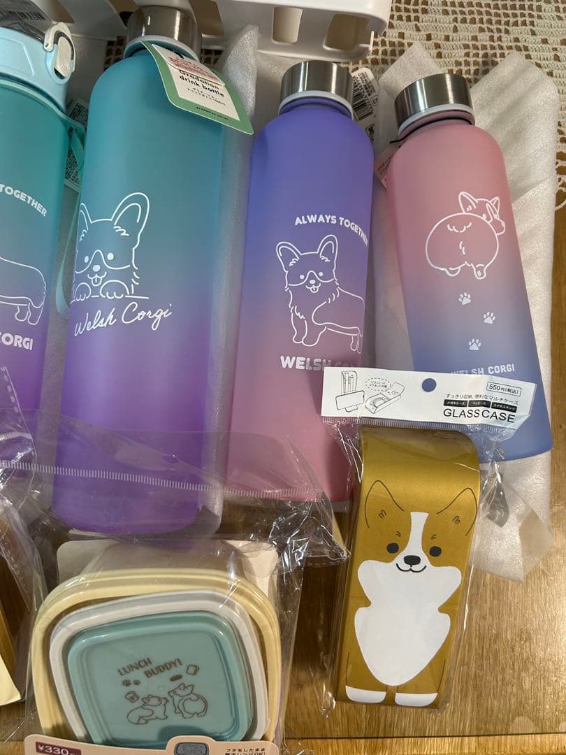 イルーシー300 コーギーグッズ　ランチボックス　水筒　メガネケース