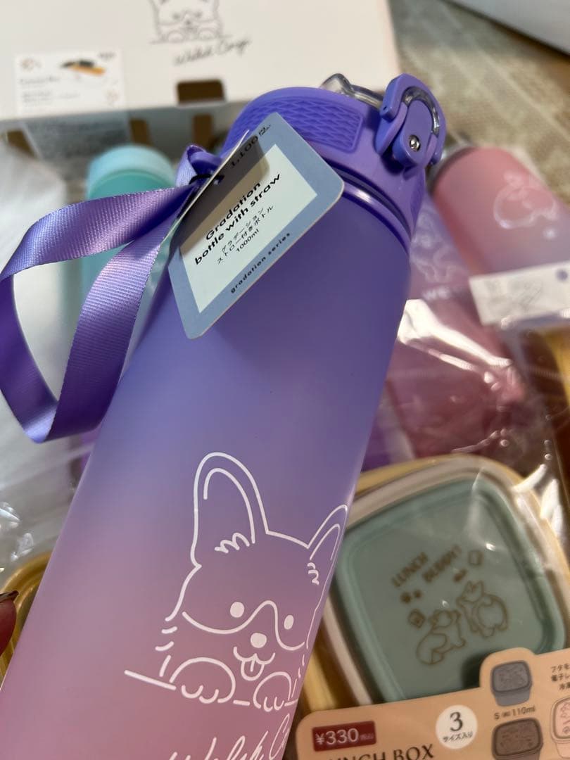 イルーシー300 コーギーグッズ　ランチボックス　水筒　メガネケース