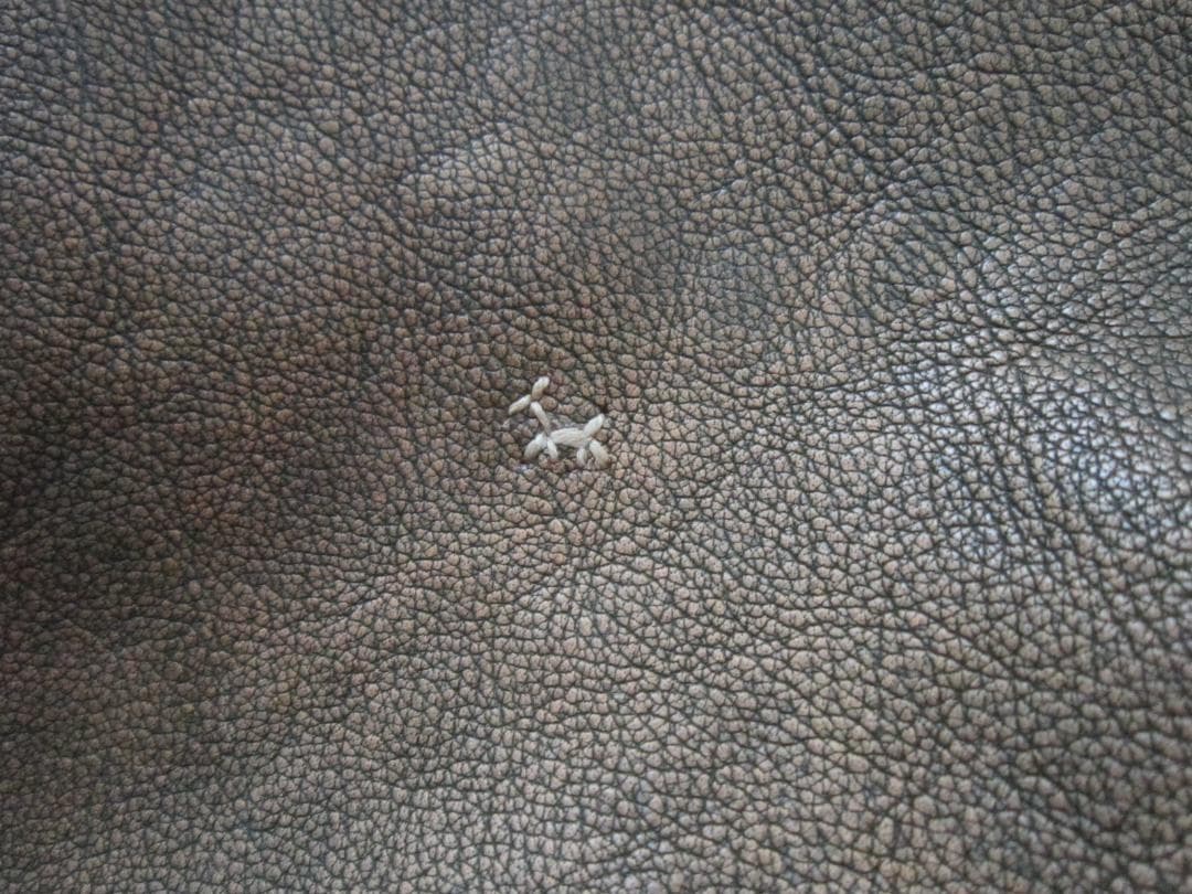 アンリークイール　⑧　手提げバッグ　ショルダーバッグ　鞄　バッグ