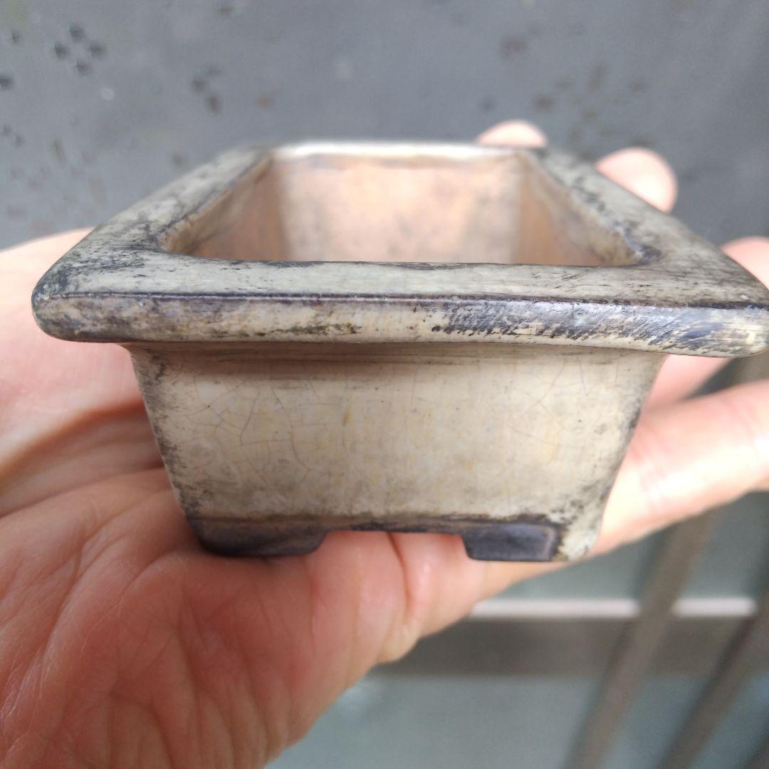 専用です、中国鉢、ミニ鉢、盆栽鉢、盆栽小鉢、鉢、植木鉢、盆栽、支那鉢