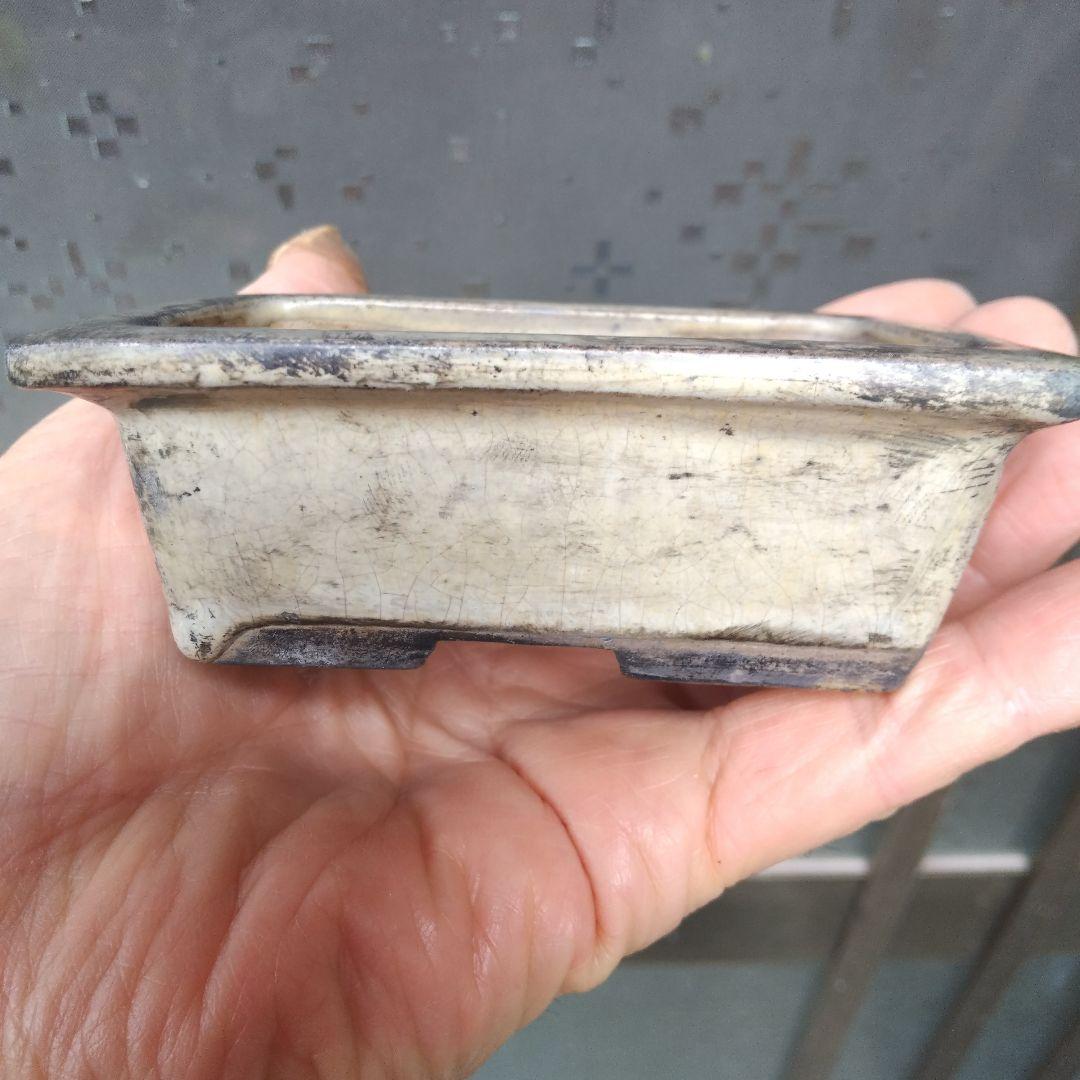 専用です、中国鉢、ミニ鉢、盆栽鉢、盆栽小鉢、鉢、植木鉢、盆栽、支那鉢