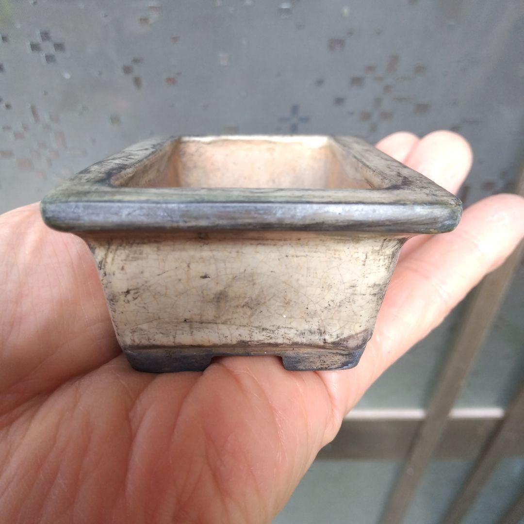 専用です、中国鉢、ミニ鉢、盆栽鉢、盆栽小鉢、鉢、植木鉢、盆栽、支那鉢