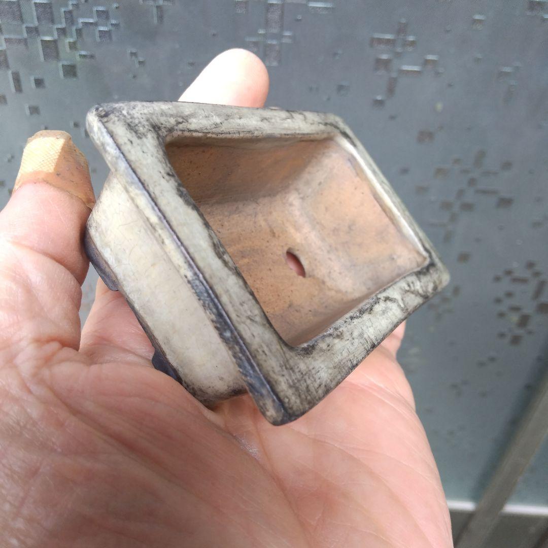 専用です、中国鉢、ミニ鉢、盆栽鉢、盆栽小鉢、鉢、植木鉢、盆栽、支那鉢