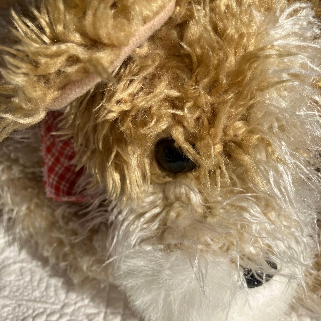 犬　ヨークシャテリア　2匹セット ぬいぐるみペア