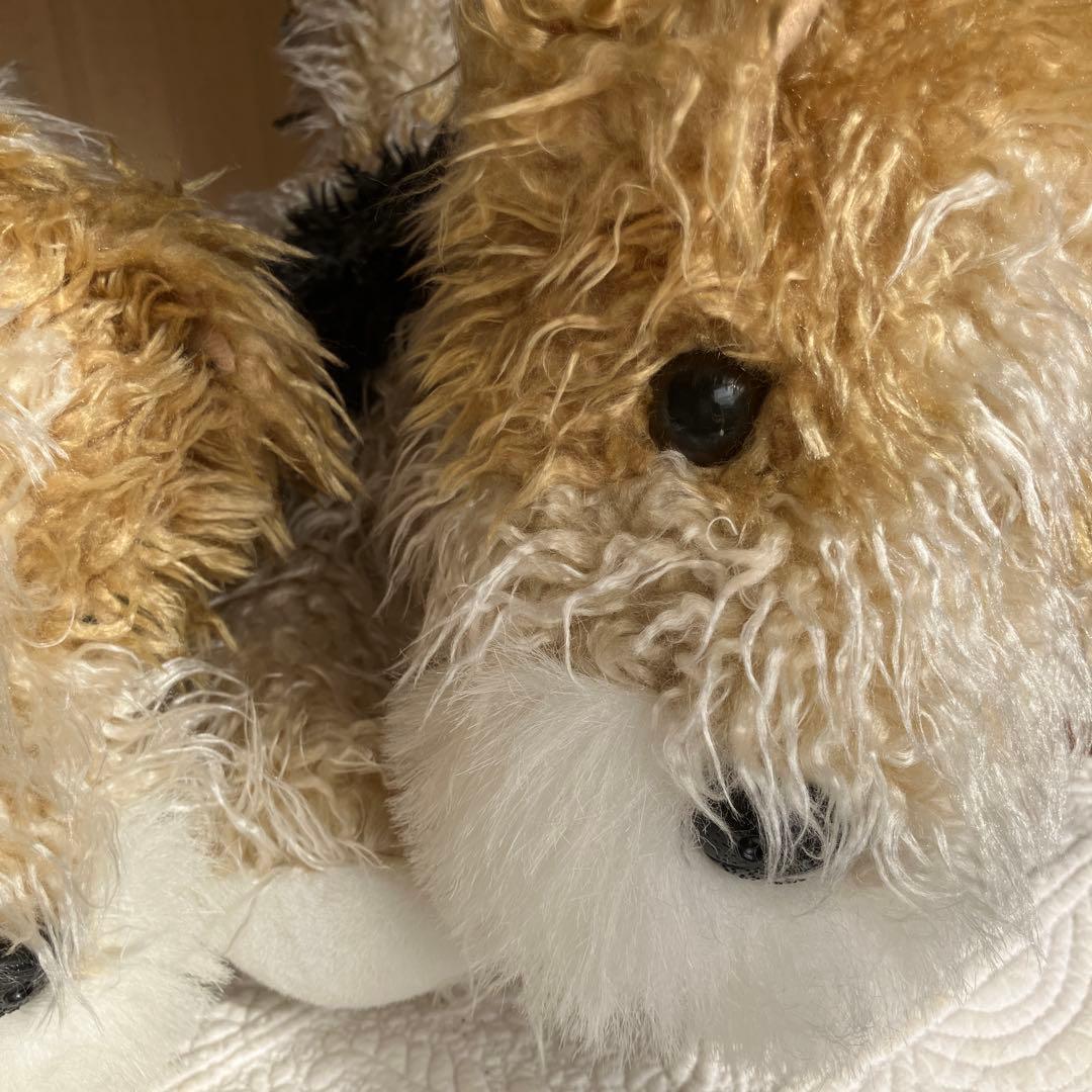 犬　ヨークシャテリア　2匹セット ぬいぐるみペア
