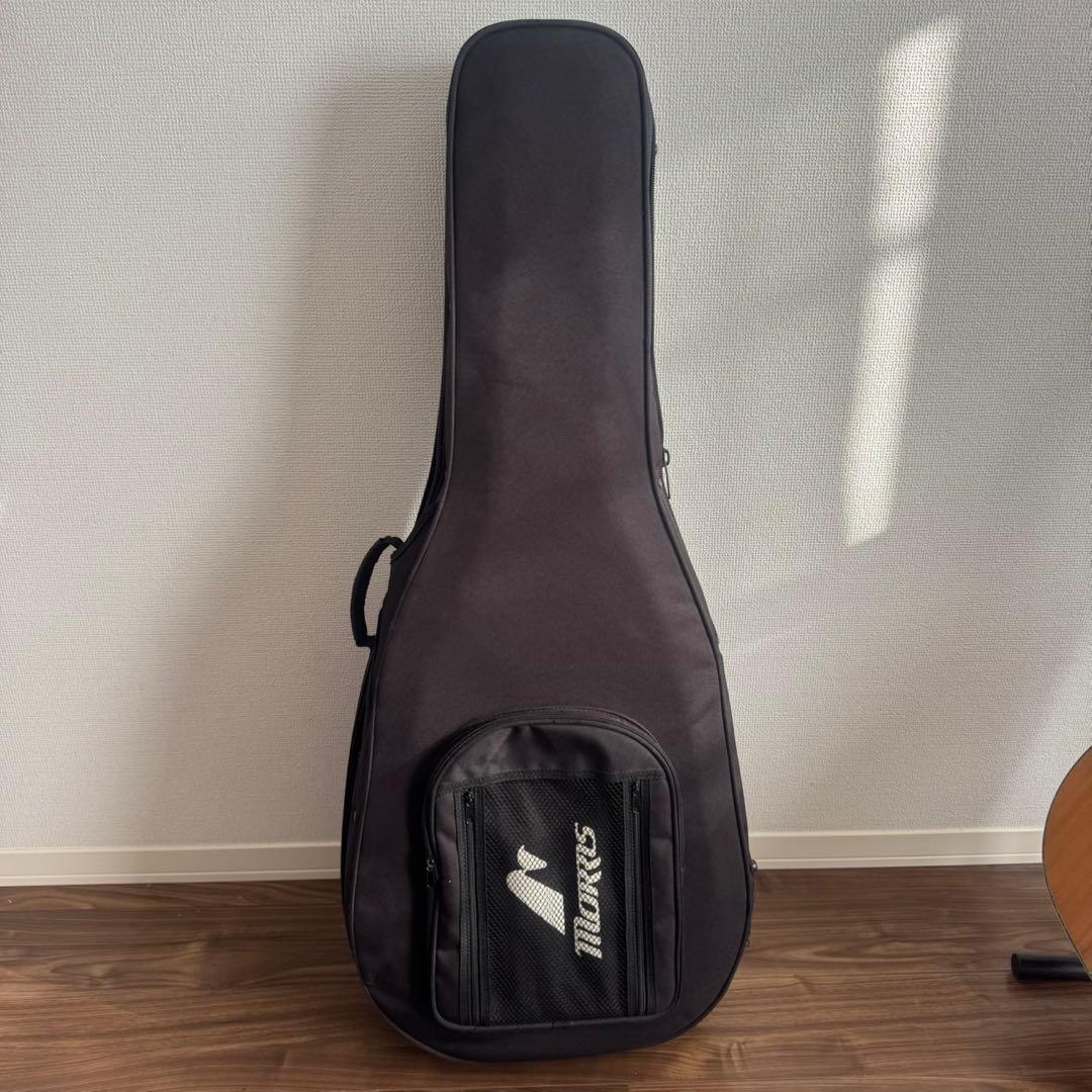 【美品】Morris TF-801 ハカランダ ／新品弦、純正ケース