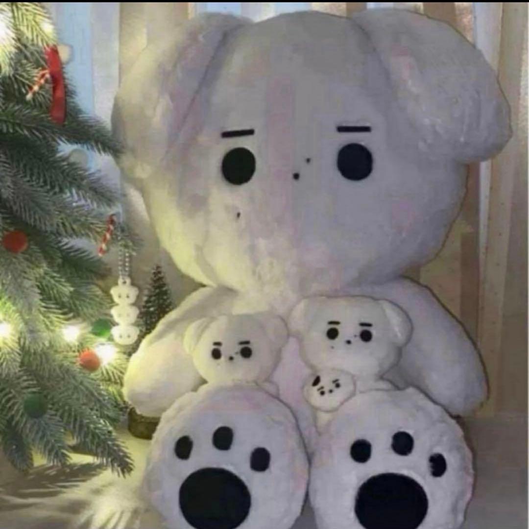 enhpyen ソンフン　ぬいぐるみ　40cm 新品　マスター