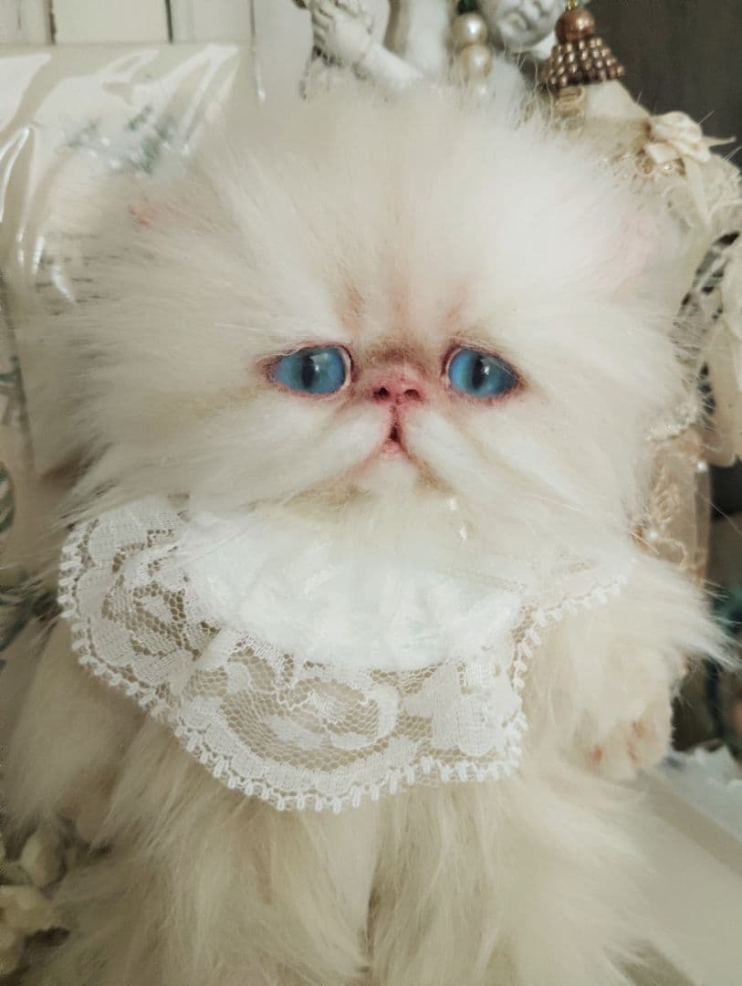 ポッケにゃん♡エキゾチック子猫ちゃん♡アートドール♡ぬいぐるみ♡