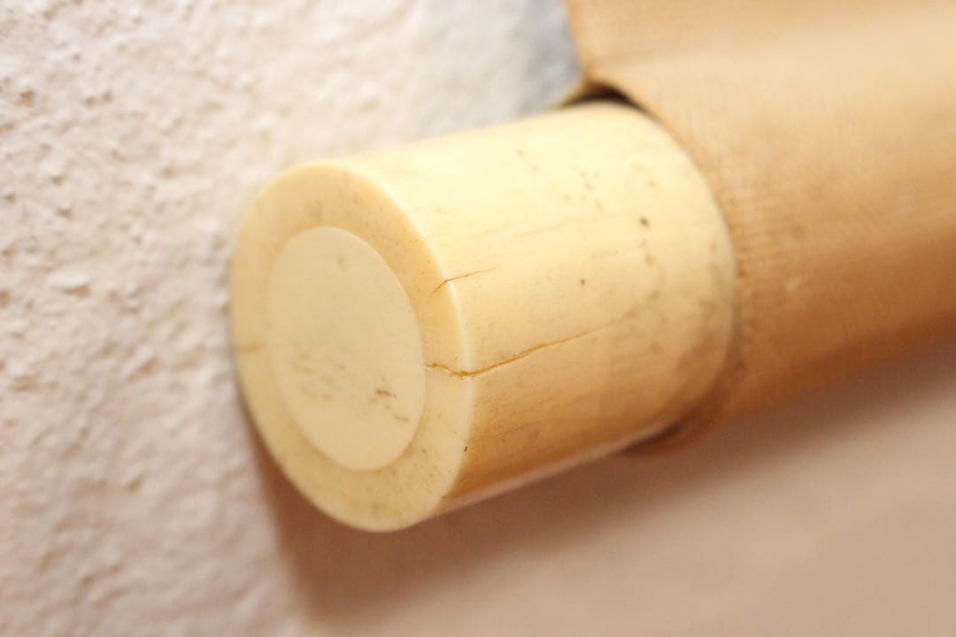 No5275 掛軸　在銘　秀芳　白牡丹図　絹本着色　合箱　花鳥　古美術　送料無料