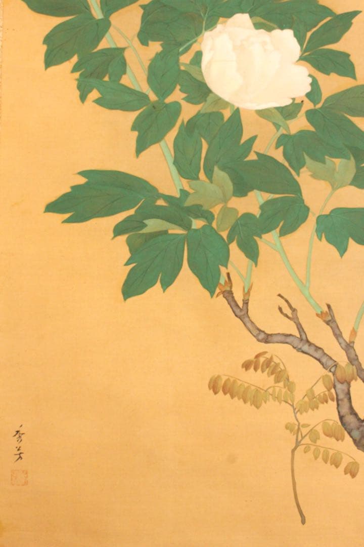 No5275 掛軸　在銘　秀芳　白牡丹図　絹本着色　合箱　花鳥　古美術　送料無料