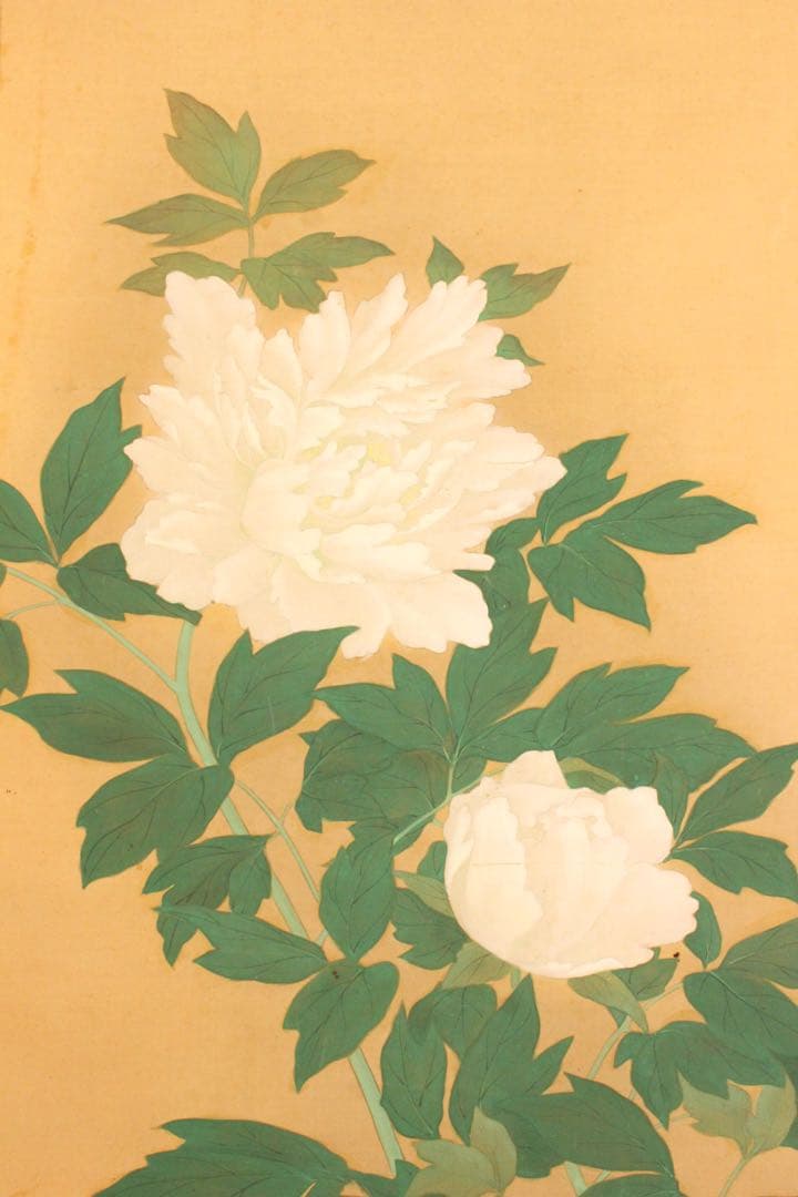 No5275 掛軸　在銘　秀芳　白牡丹図　絹本着色　合箱　花鳥　古美術　送料無料