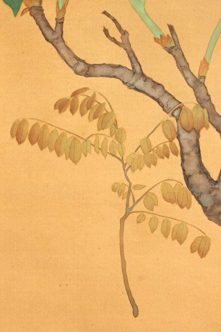 No5275 掛軸　在銘　秀芳　白牡丹図　絹本着色　合箱　花鳥　古美術　送料無料