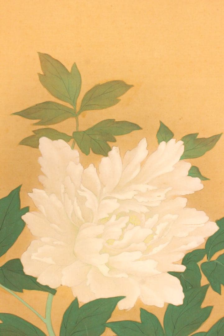 No5275 掛軸　在銘　秀芳　白牡丹図　絹本着色　合箱　花鳥　古美術　送料無料